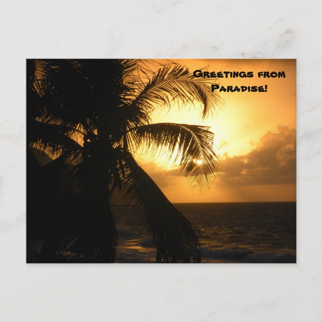 Greetings from Paradise Postcard (Front)