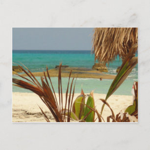 Greetings from Paradise! Postcard