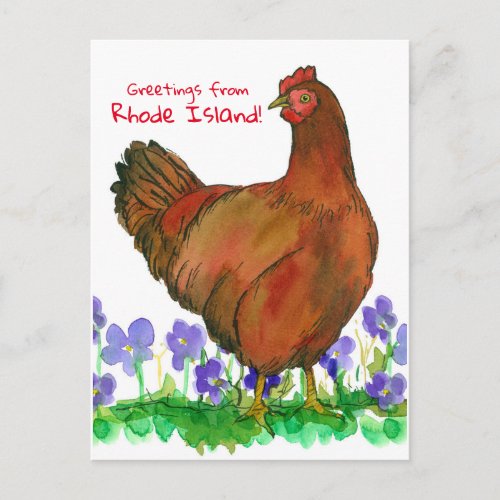 Greetings From Rhode Island Red Hen Violets Postcard