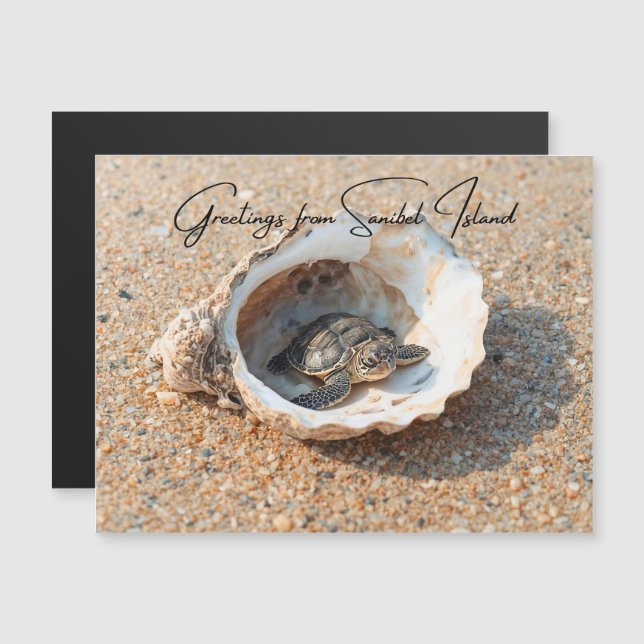 Greetings from Sanibel Island Sea Turtle in Shell (Front/Back)