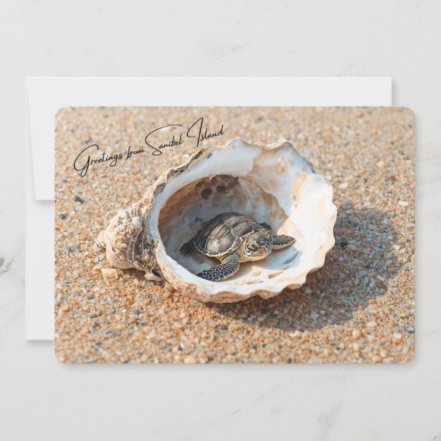 Greetings from Sanibel Island Sea Turtle in Shell Card (Front)
