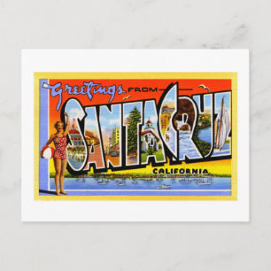 greetings from Santa Cruz California Postcard