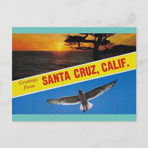 Greetings from Santa Cruz California Travel  Postcard