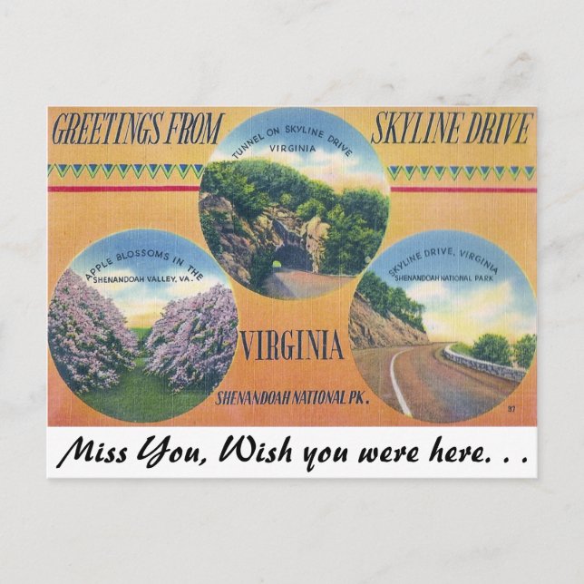 Greetings from Skyline Drive, Virginia Postcard (Front)