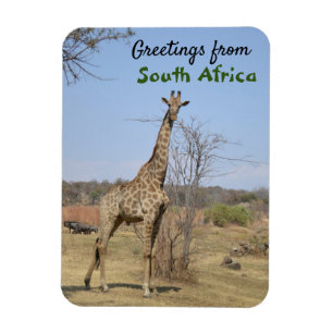 Greetings From South Africa Magnet