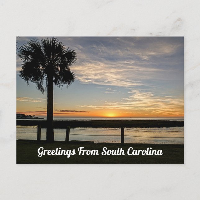 Greetings From South Carolina Postcard (Front)