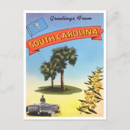 Greetings from South Carolina Vintage Travel Postcard