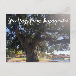 Greetings from Sunnyvale! Postcard