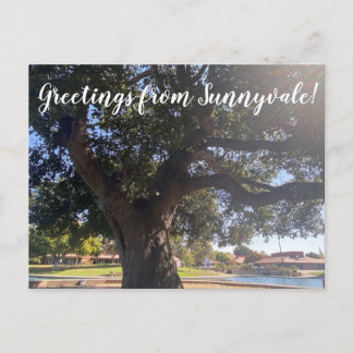 Greetings from Sunnyvale! Postcard