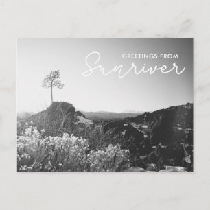 Greetings from Sunriver Oregon Postcard