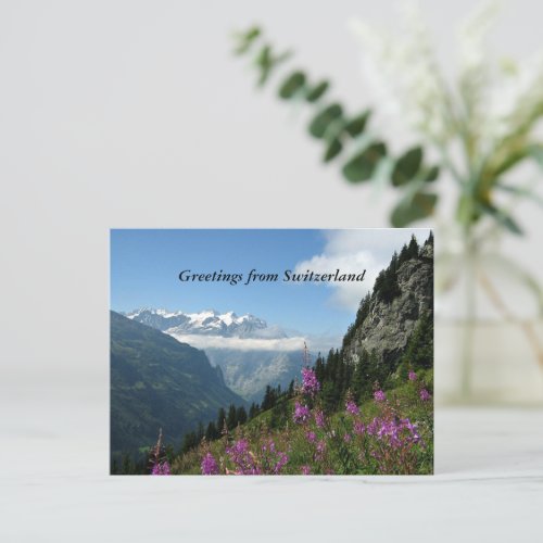 Greetings from Switzerland Postcard