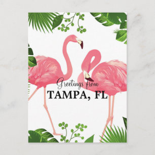 Greetings from Tampa, FL Postcard