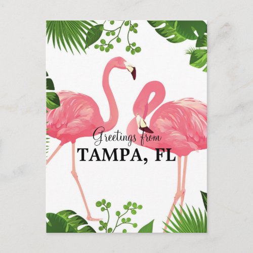 Greetings from Tampa, FL Postcard