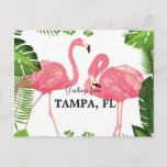 Greetings from Tampa, Florida Postcard