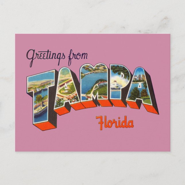 Greetings from Tampa, Florida Postcard (Front)