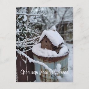 GREETINGS FROM TENNESSEE winter birdhouse photo Postcard
