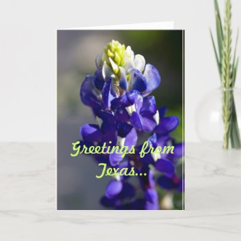 Greetings From Texas... Card by JuliaGoss at Zazzle