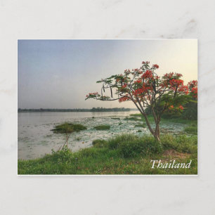 Greetings from Thailand Postcard