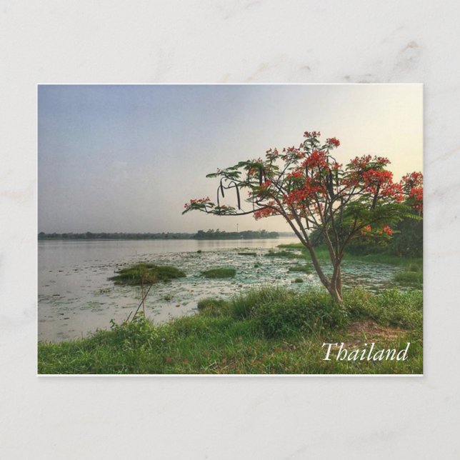 Greetings from Thailand Postcard (Front)