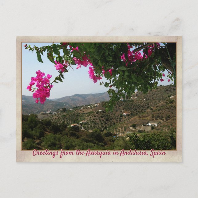 Greetings from the Axarquía Postcard (Front)