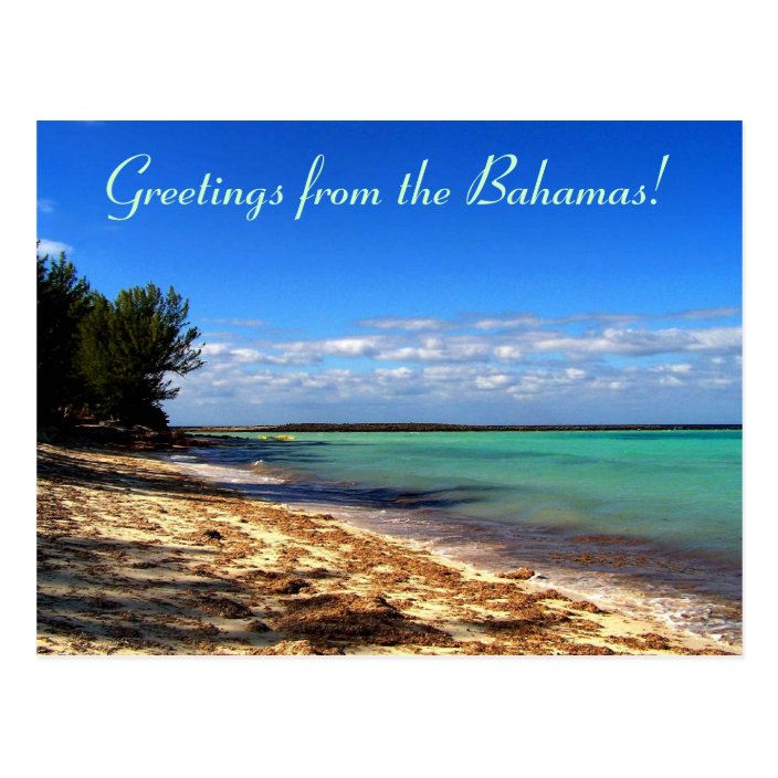 Greetings from the Bahamas! Postcard