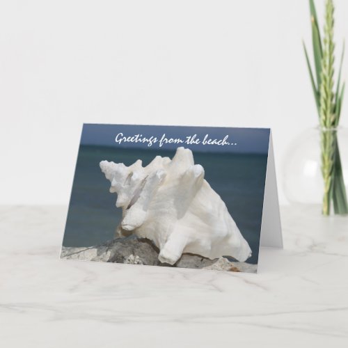 Greetings from the Beach Conch Shell Card