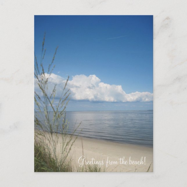 Greetings from the beach! postcard (Front)