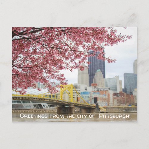 Greetings from the city of Pittsburgh Postcard