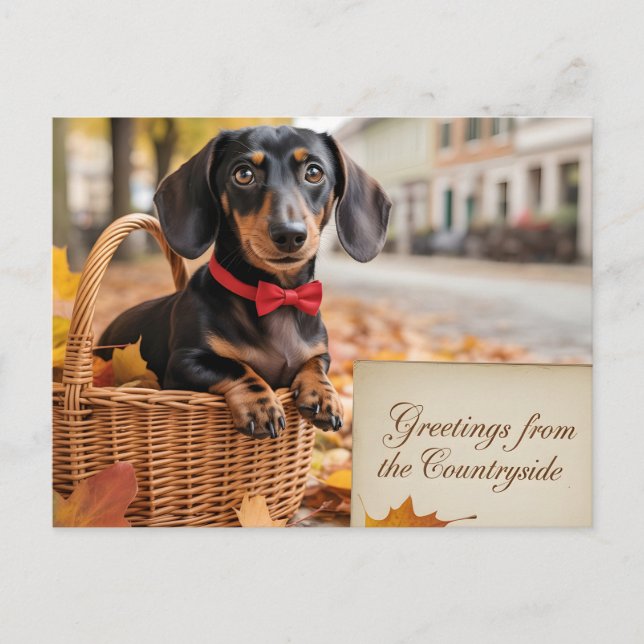 "Greetings from the Countryside" Dachshund  Postcard (Front)