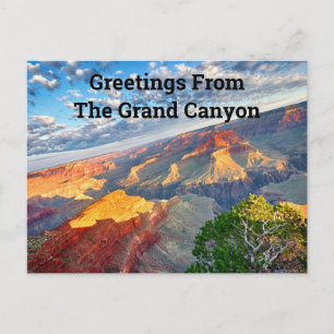 Greetings From the Grand Canyon Postcard