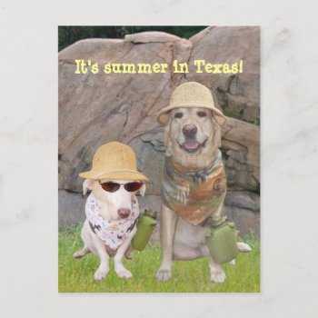 Greetings From The Hot South! Postcard by myrtieshuman at Zazzle