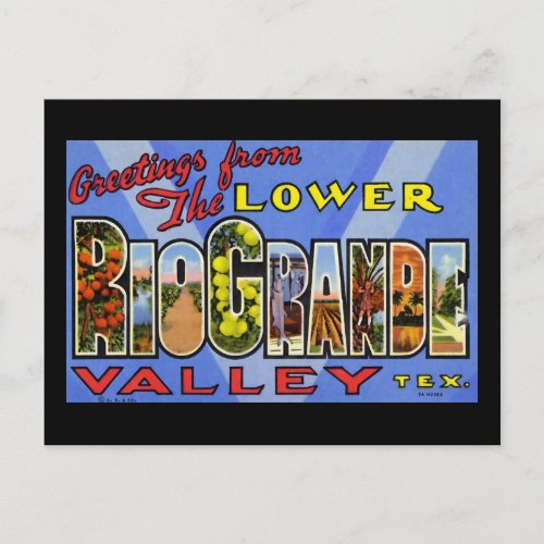 Greetings from the Lower Rio Grande Valley Texas Postcard