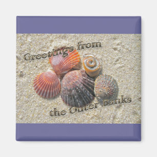 Greetings from the Outer Banks Seashells Magnet