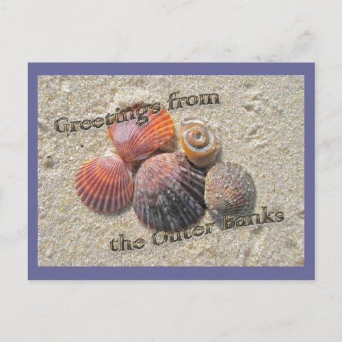 Greetings from the Outer Banks Seashells Postcard
