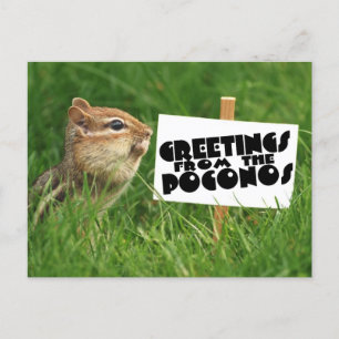 Greetings from the Poconos! Chipmunk with Sign Postcard