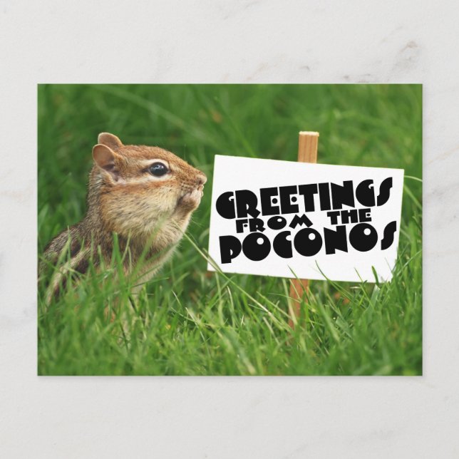 Greetings from the Poconos! Chipmunk with Sign Postcard (Front)
