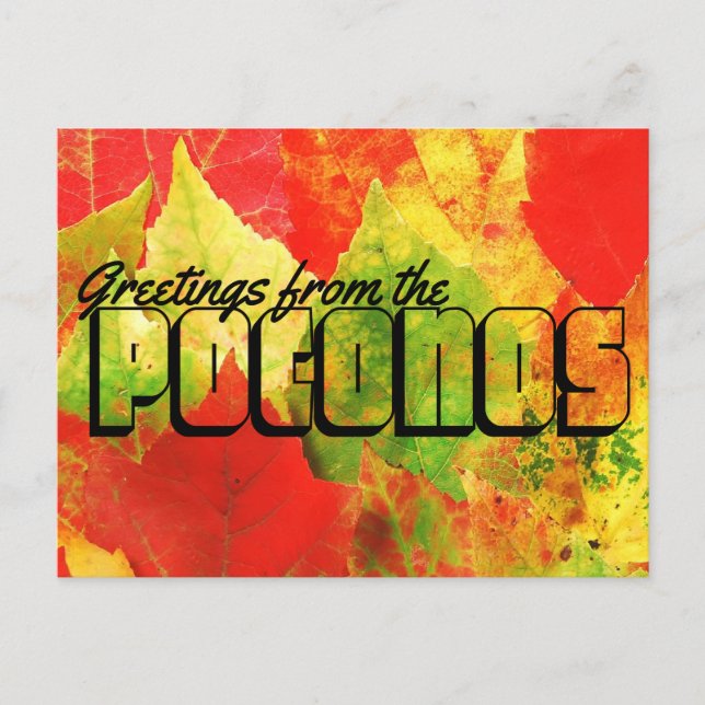 Greetings from the Poconos Colorful Leaves Postcard (Front)
