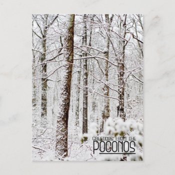 Greetings From The Poconos! Snowy Pocono Woodlands Postcard by Meg_Stewart at Zazzle