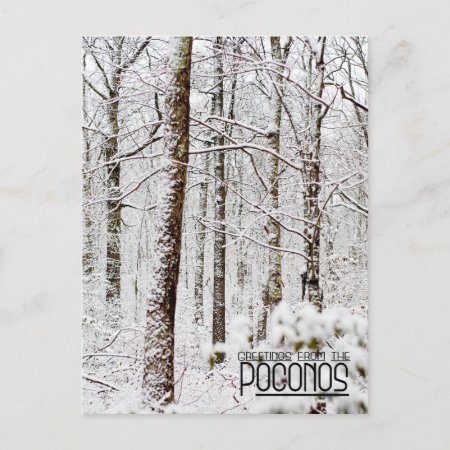 Greetings From The Poconos! Snowy Pocono Woodlands Postcard