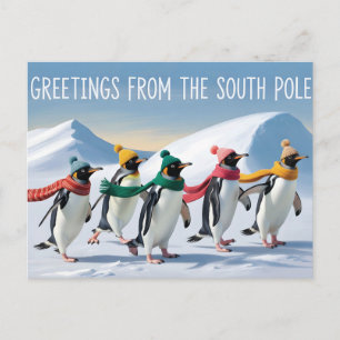 "Greetings from the South Pole" Penguin Design Postcard