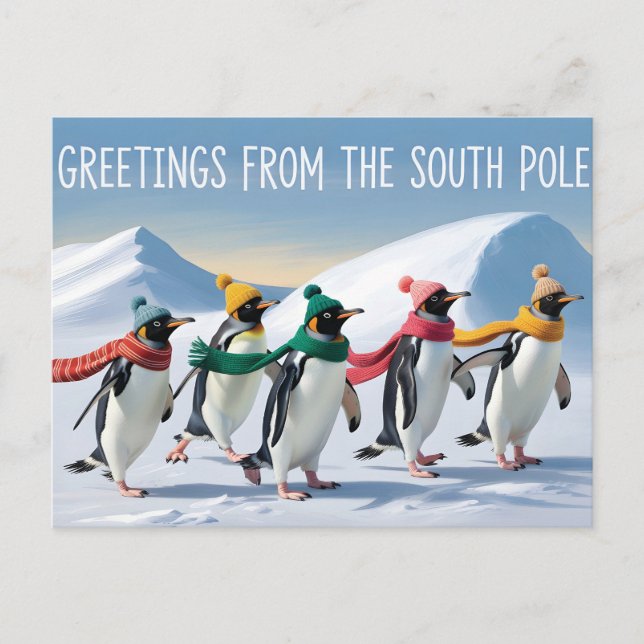 "Greetings from the South Pole" Penguin Design Postcard (Front)