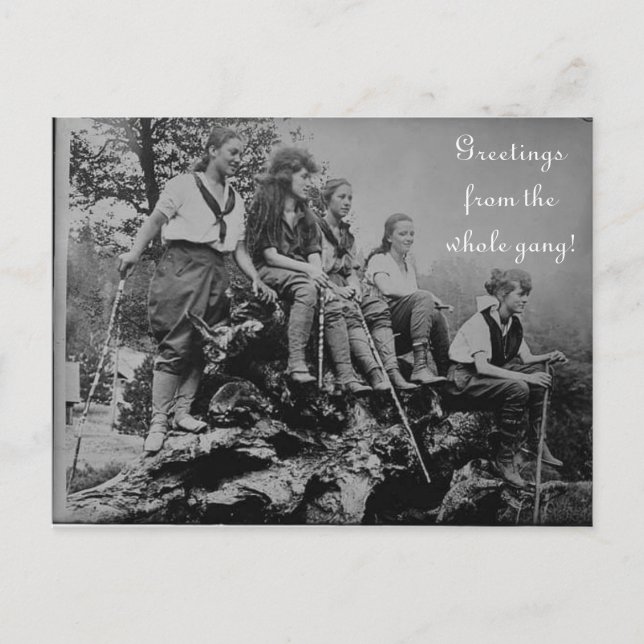 Greetings from the Whole Gang Postcard (Front)
