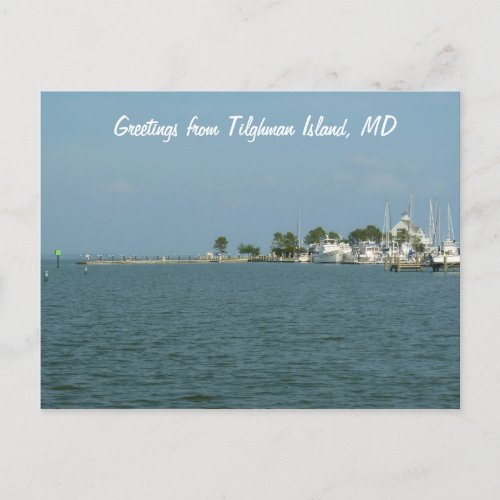 Greetings from Tilghman Island MD Postcard