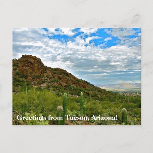 Greetings from Tucson Arizona Postcard