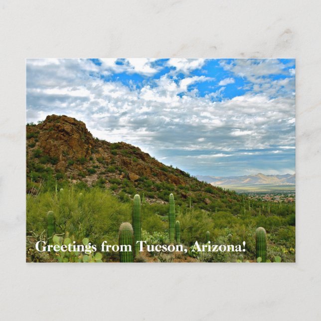 Greetings from Tucson, Arizona! Postcard (Front)