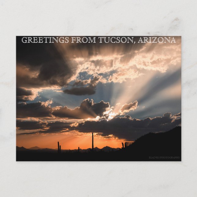 GREETINGS FROM TUCSON, ARIZONA POSTCARD (Front)