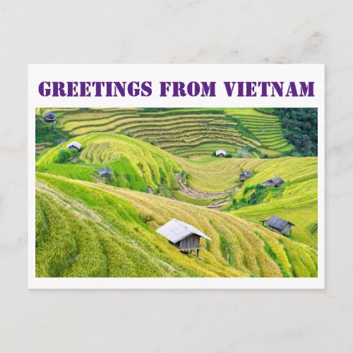 Greetings from Vietnam Postcard
