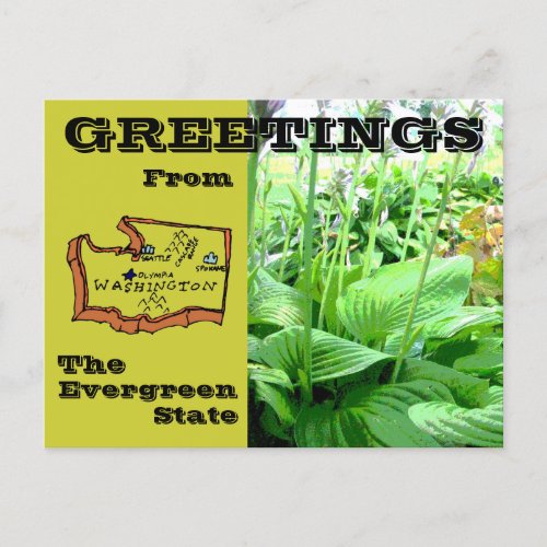 Greetings From Washington State Postcard