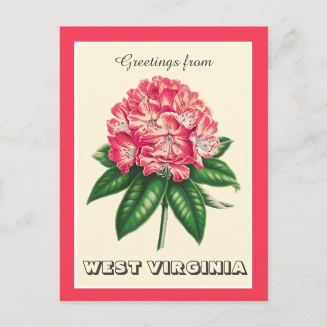 Greetings from West Virginia Rhododendron Postcard (Front)