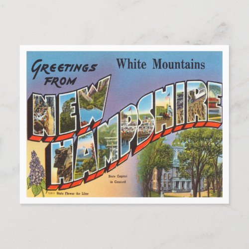 Greetings from White Mountains New Hampshire Postcard